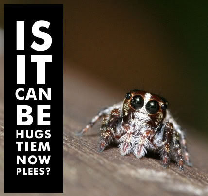 Is_it_can_be_hugs_tiem_now_spider